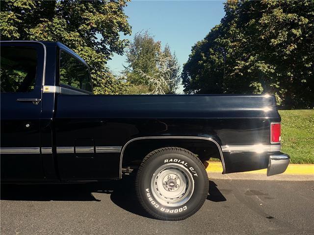 1985 Chevrolet C-10 Pickup - photo 12