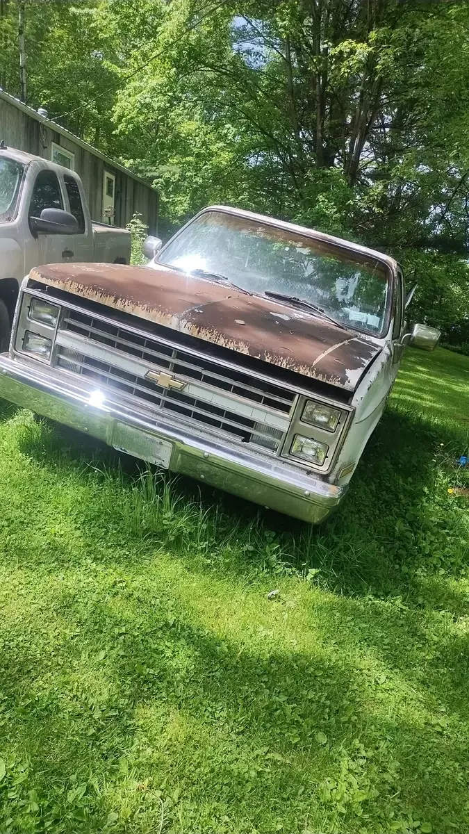 1985 Chevrolet C10 Pickup White 1985 Chevrolet C-10