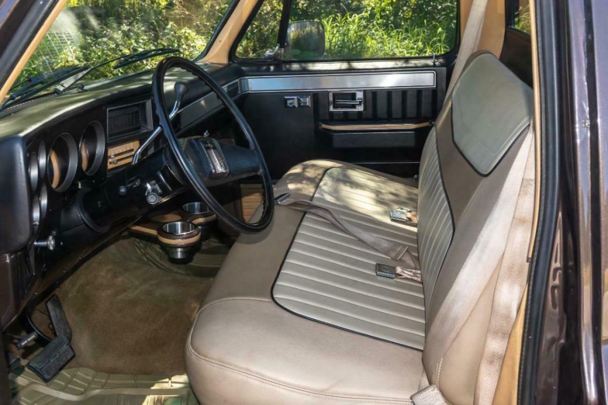 1985 Chevrolet C-10 Pickup - photo 10