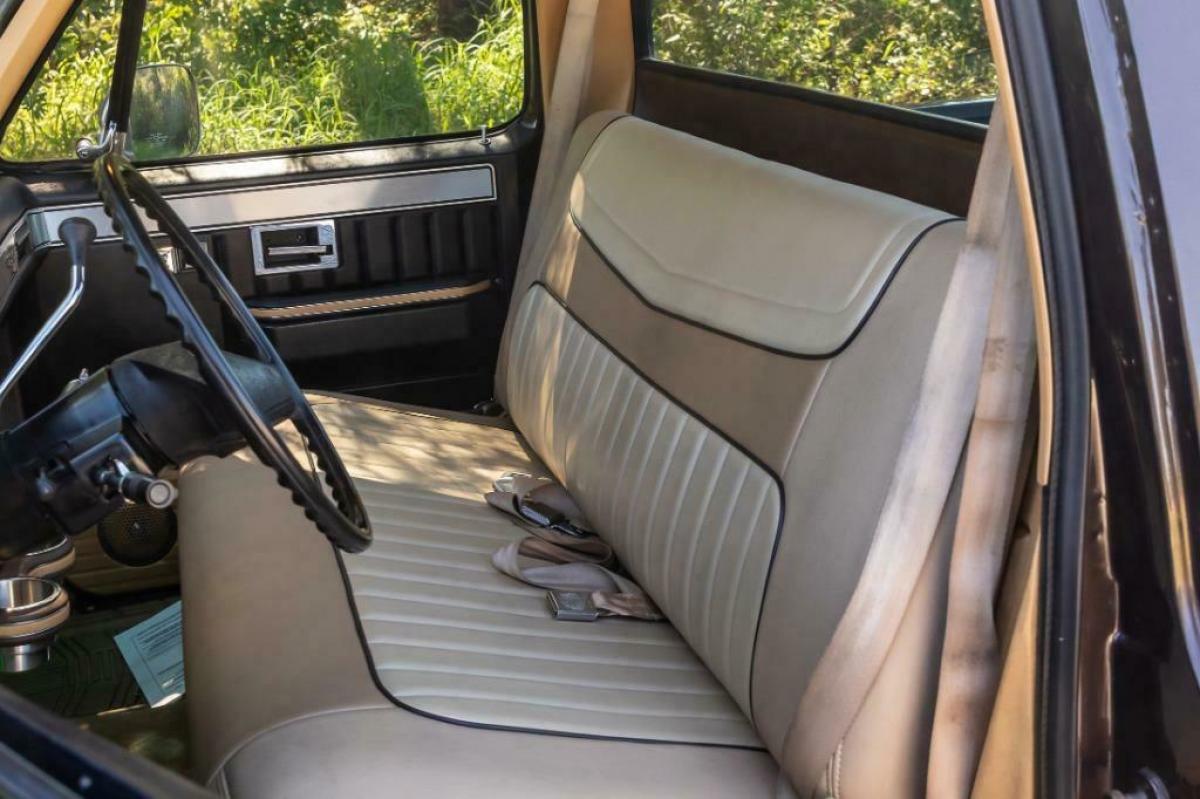 1985 Chevrolet C-10 Pickup - photo 13