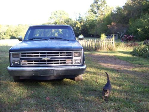 1985 Chevrolet C-10 2WD - photo 5