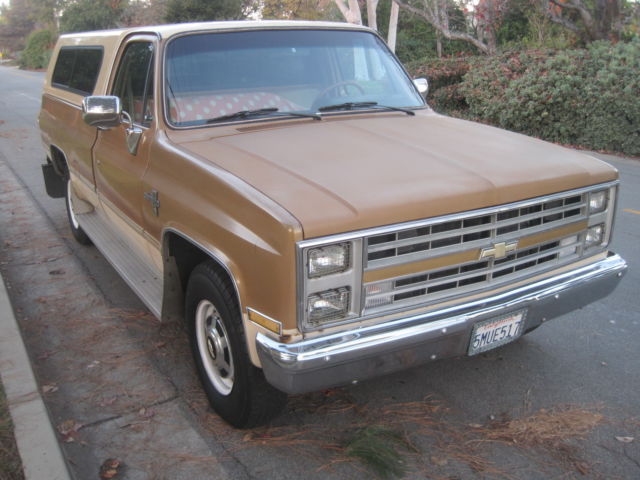 1985 Chevrolet Other Pickups TRUCK - photo 3