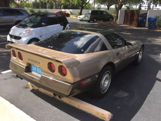 1985 Chevrolet Corvette Rear Spoiler - photo 4