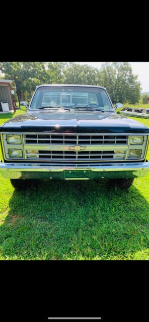 1985 Chevrolet Other Pickups - photo 3