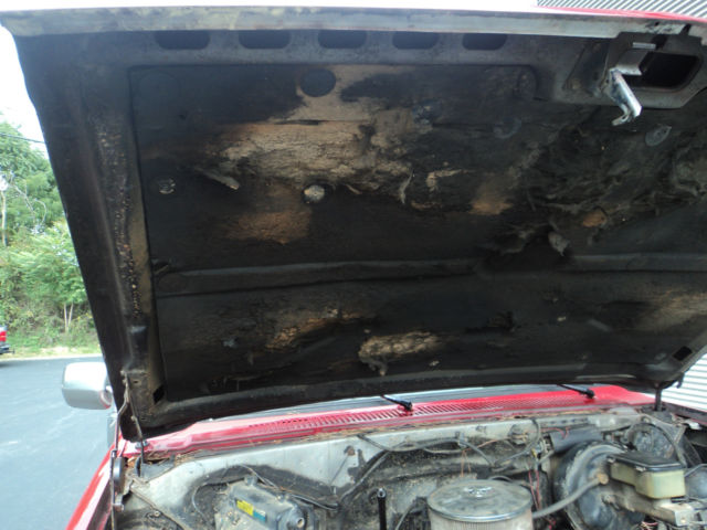 1985 Chevrolet C/K Pickup 1500 - photo 9