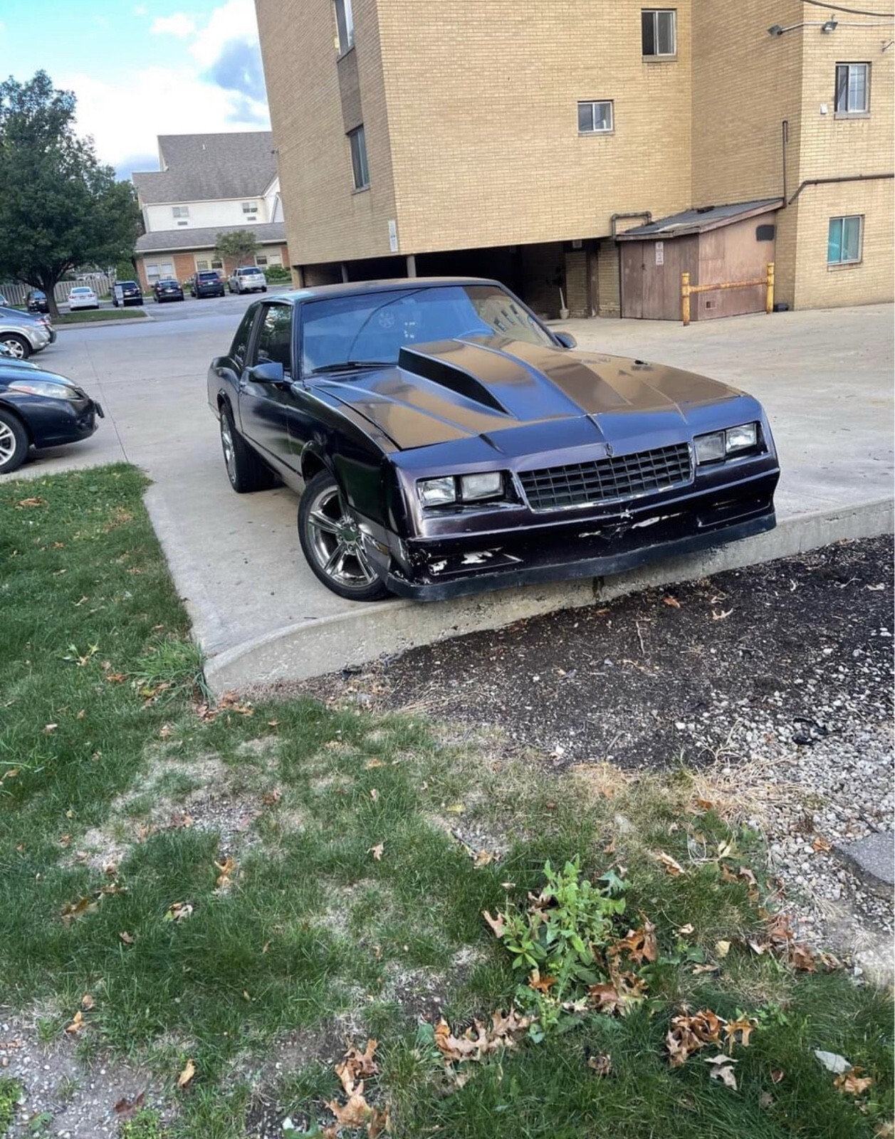 1985 Chevrolet Monte Carlo - photo 4