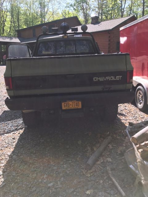 1985 Chevrolet Other Pickups - photo 3