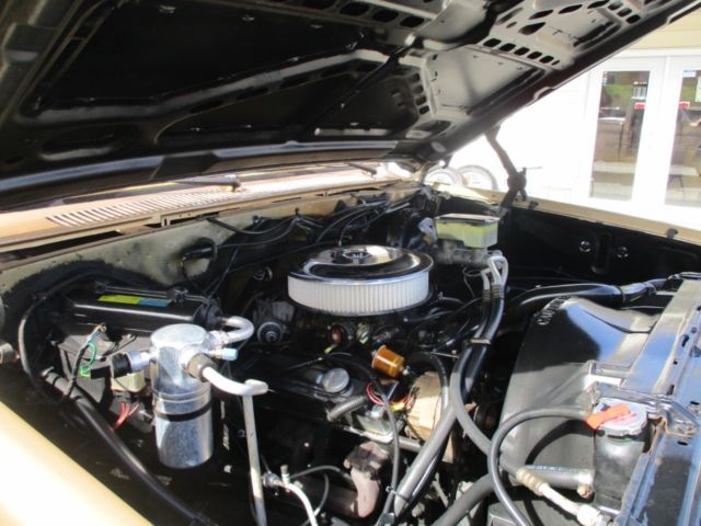 1985 Chevrolet Other Pickups C10 Fleetside 117.5" WB - photo 10