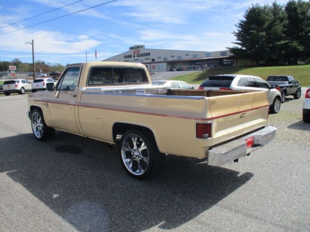 1985 Chevrolet Other Pickups C10 Fleetside 117.5" WB - photo 4