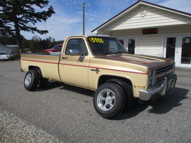 1985 Chevrolet Pickup C10 Stepside 117.5" WB - photo 5