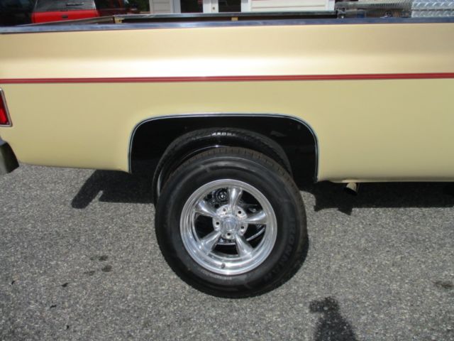 1985 Chevrolet Pickup C10 Stepside 117.5" WB - photo 7
