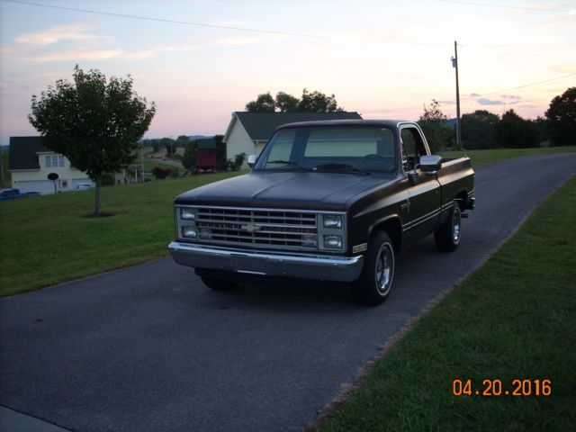 1985 Chevrolet Truck ( Rare Find Tenn Rust Free Pickup 69,000 Miles) 1985 Chevrolet Other Pickups
