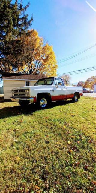 1985 Chevrolet C-10 Scottsdale - photo 2