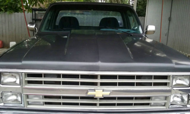 1985 Chevrolet C-10 C10 - photo 5
