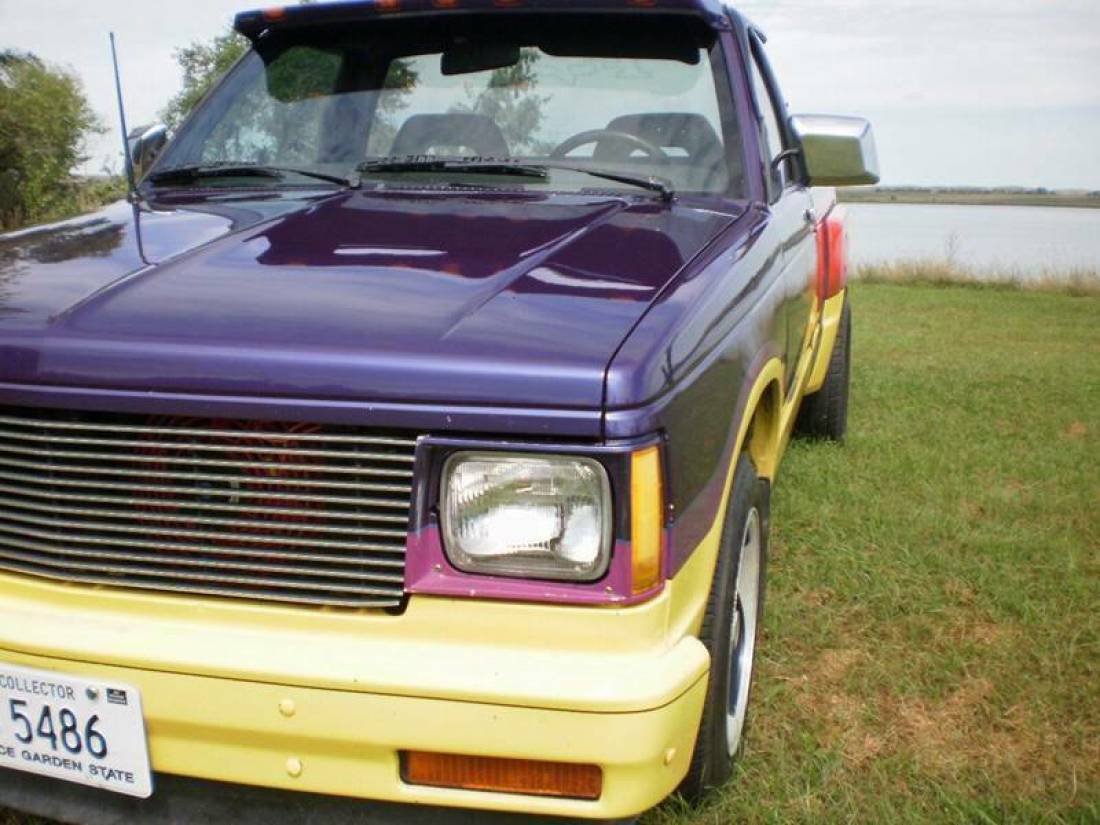 1985 Chevrolet S-10 Sport 2dr Standard Cab LB - photo 9