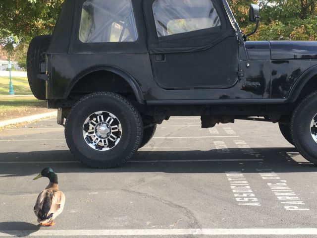 1985 Jeep CJ 7 - photo 5