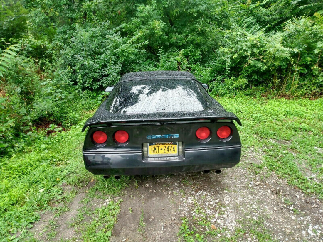 1985 Chevrolet Corvette - photo 5