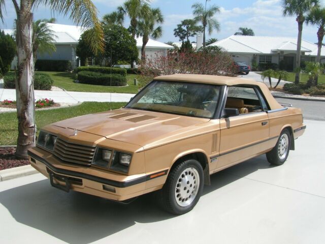 1985 Dodge 600 - photo 2