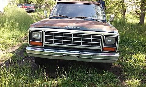 1985 Dodge Other Pickups D-350 - photo 3
