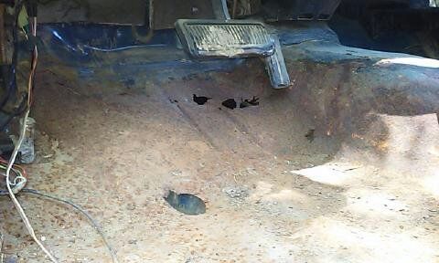 1985 Dodge Other Pickups D-350 - photo 6