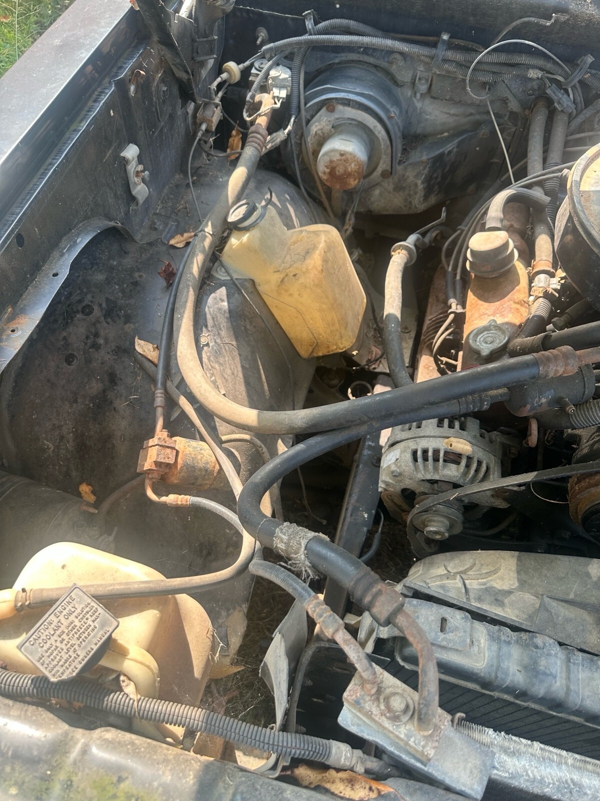 1985 Dodge D-Series D100 - photo 8