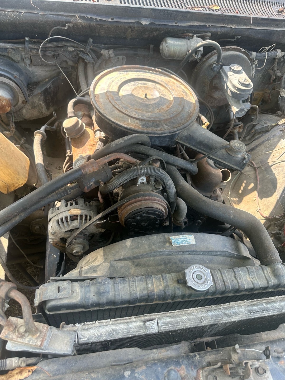 1985 Dodge D-Series D100 - photo 9