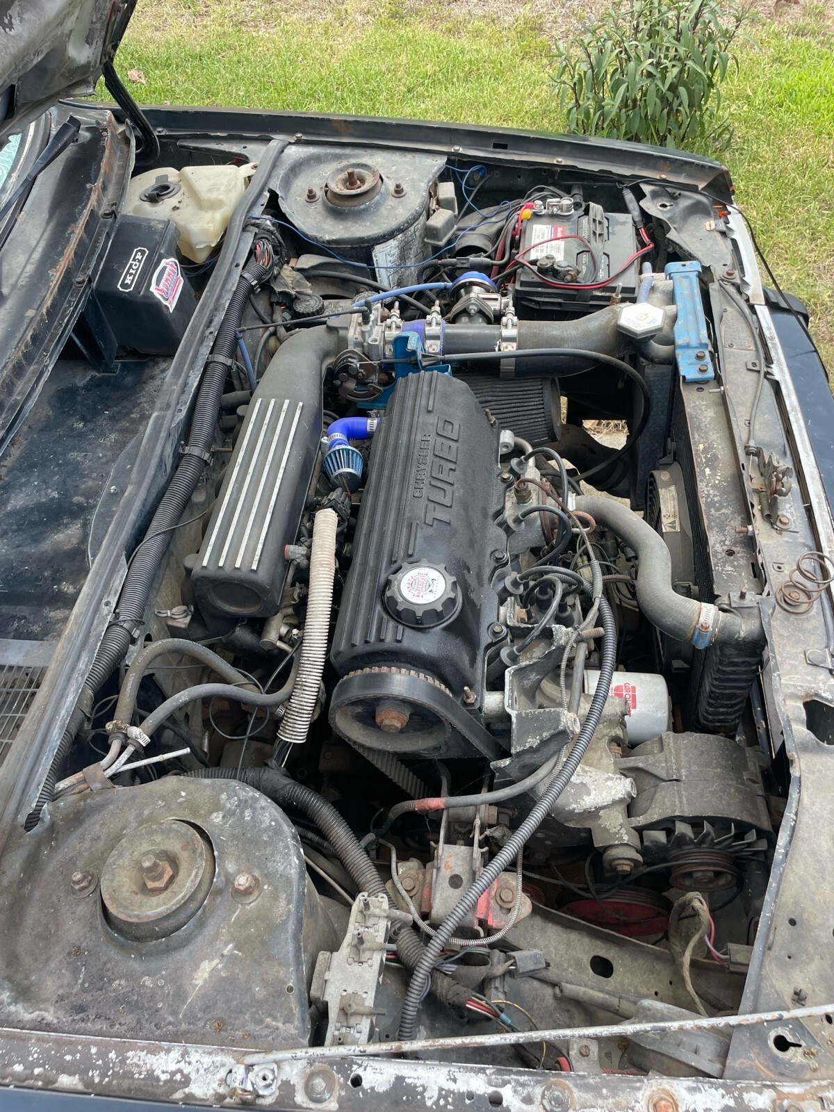 1985 Dodge Omni Turbo 2 - photo 13