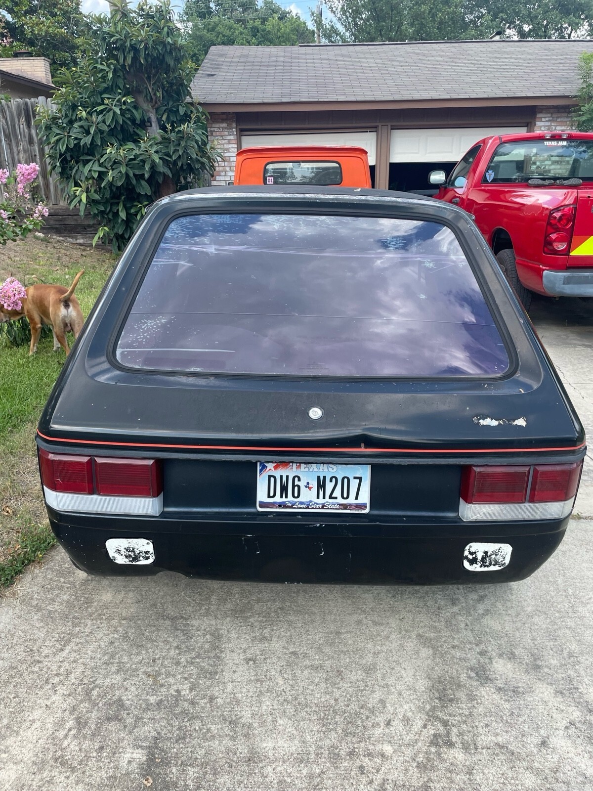 1985 Dodge Omni Turbo 2 - photo 4