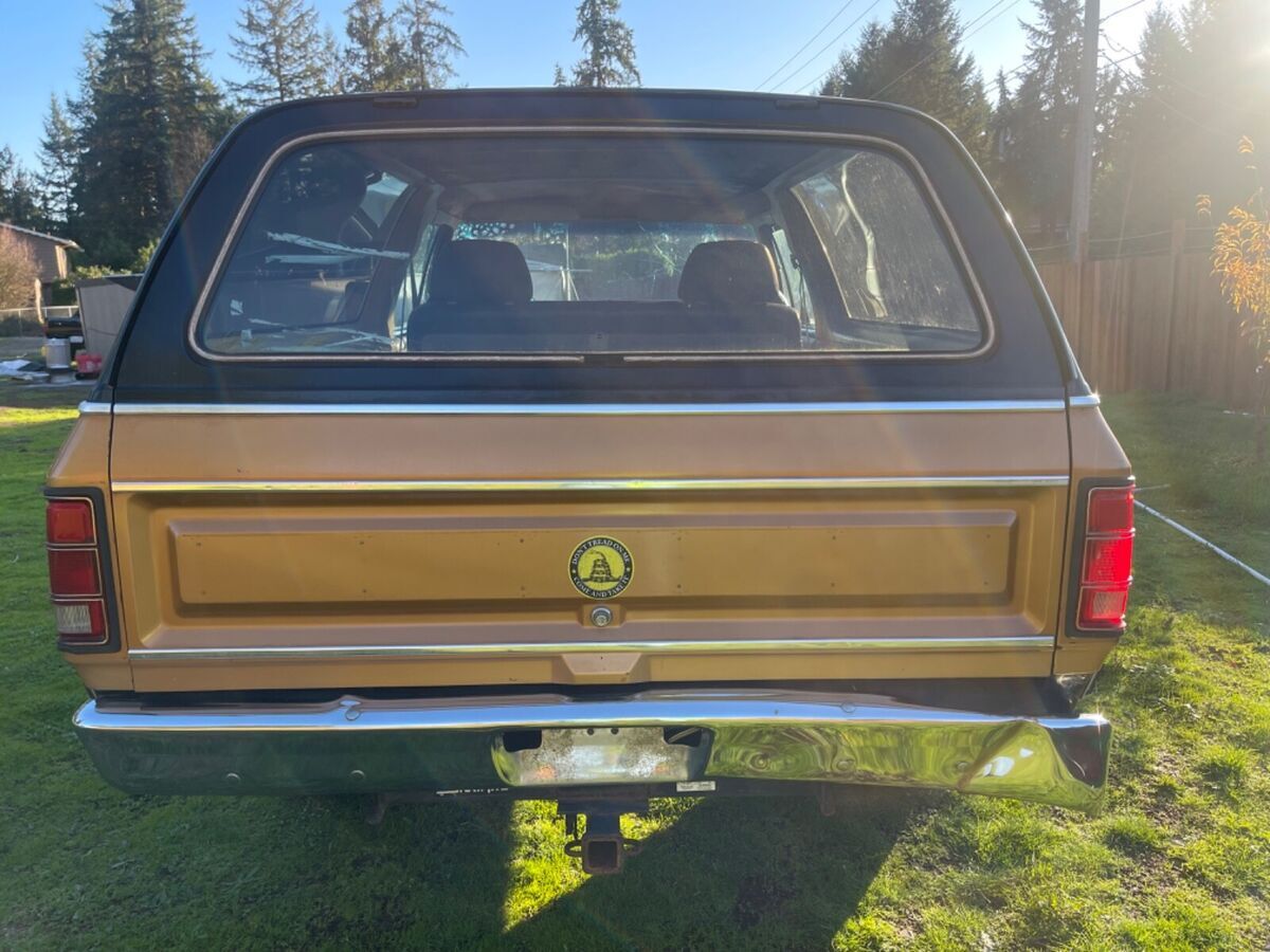 1985 Dodge Ramcharger AW-100 - photo 5