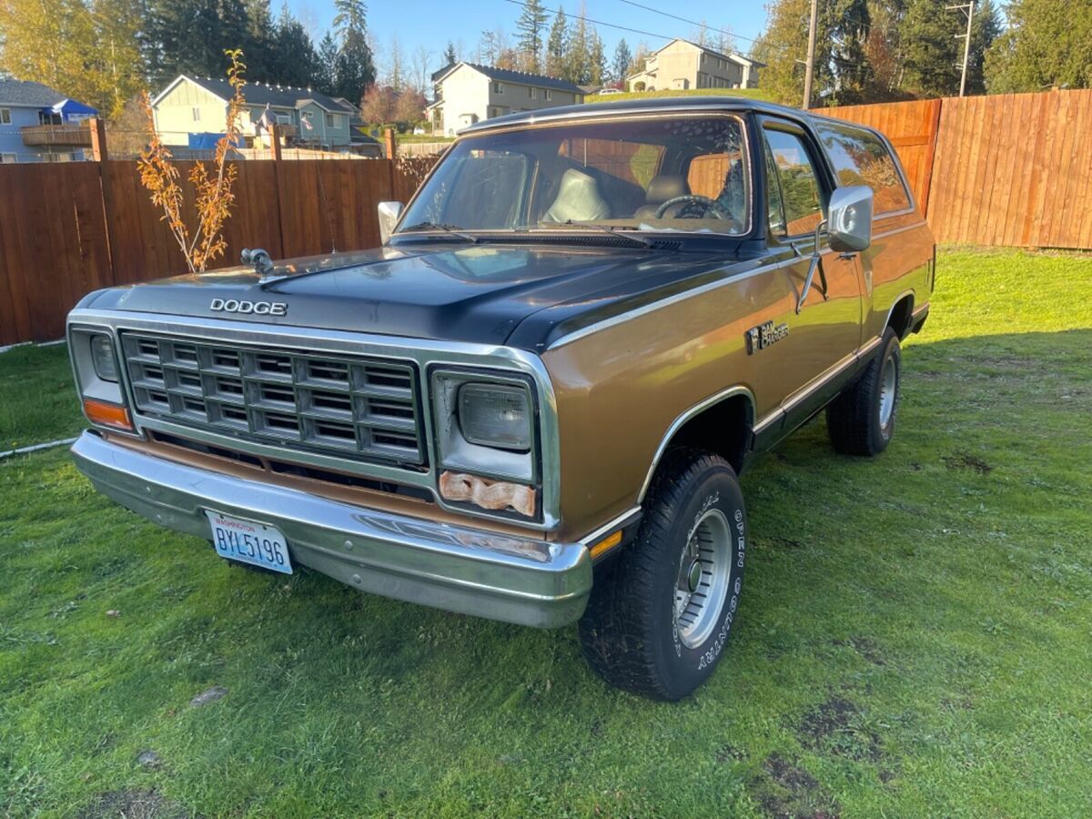 1985 Dodge Ramcharger AW-100 - photo 7
