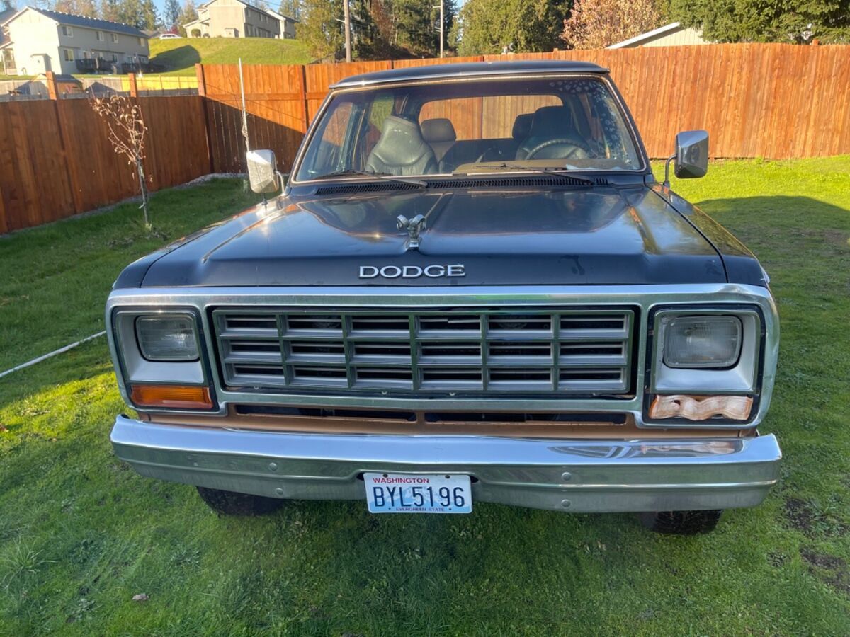 1985 Dodge Ramcharger AW-100 - photo 8