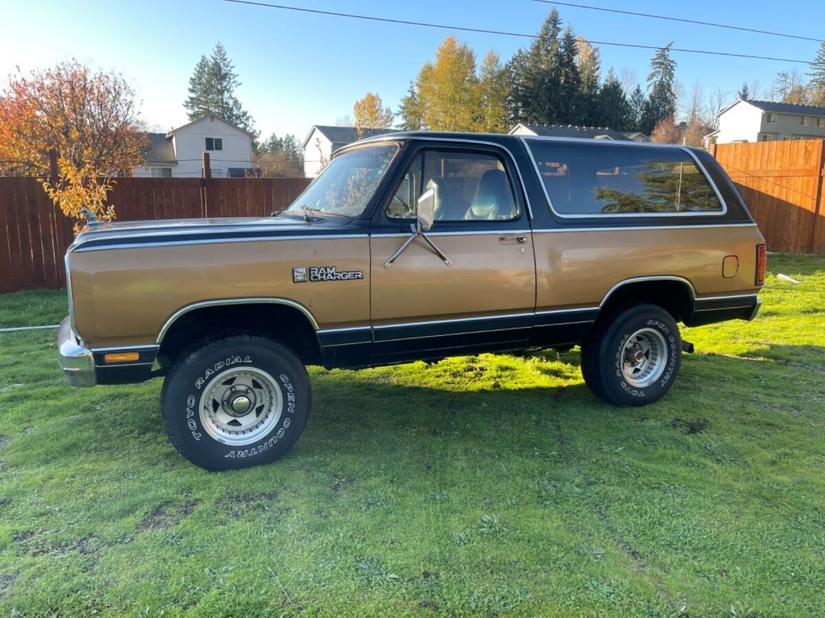 1985 Dodge Ramcharger AW-100 - photo 6