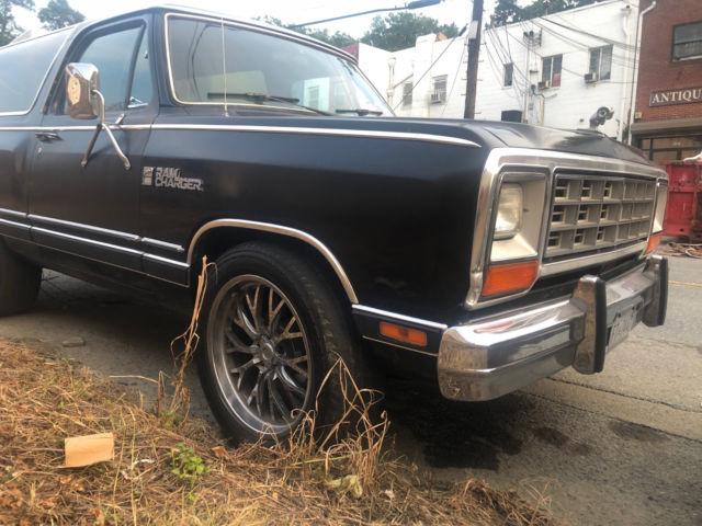 1985 Dodge Ramcharger Royal SE - photo 2