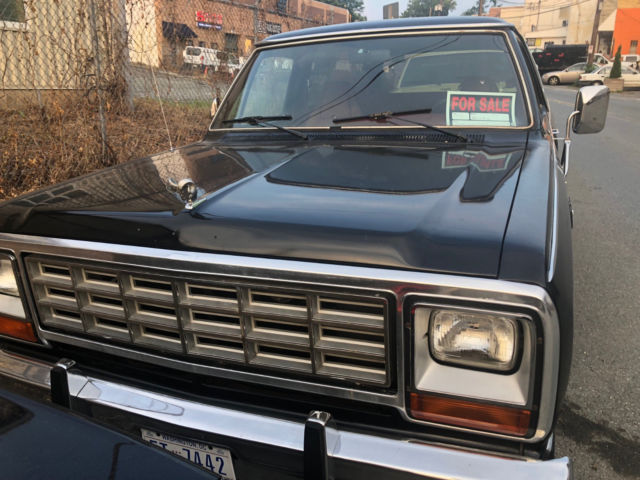 1985 Dodge Ramcharger Royal SE - photo 9