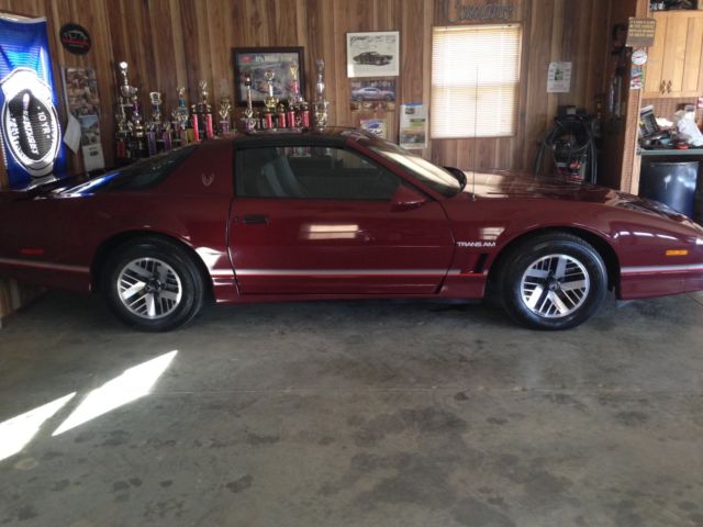 1985 Pontiac Trans Am Trans Am