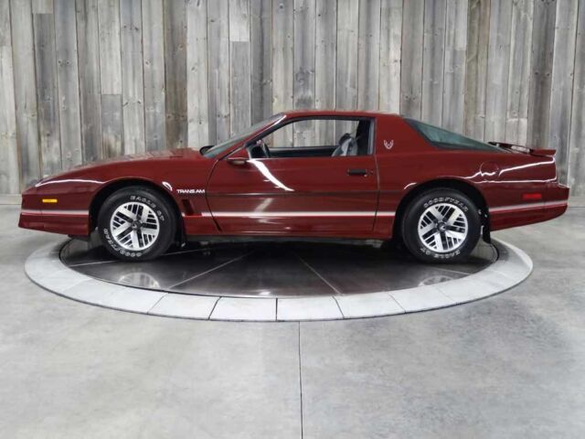1985 Pontiac Firebird TRANS AM SUPER LOW LOW MILES - photo 2