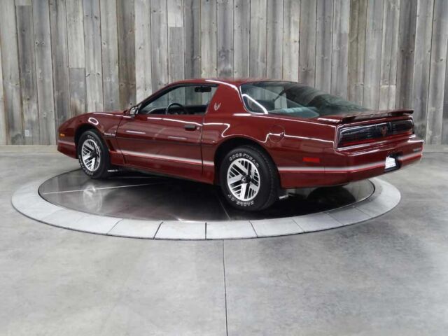 1985 Pontiac Firebird TRANS AM SUPER LOW LOW MILES - photo 3