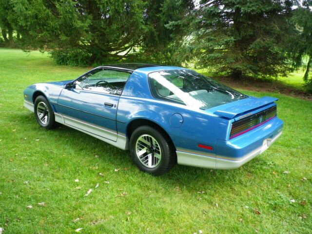 1985 Pontiac Firebird Trans Am - photo 5