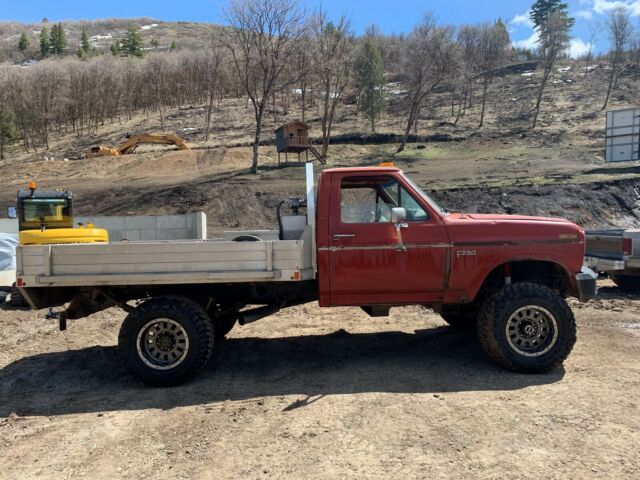 1985 Ford F-250 XLT - photo 3
