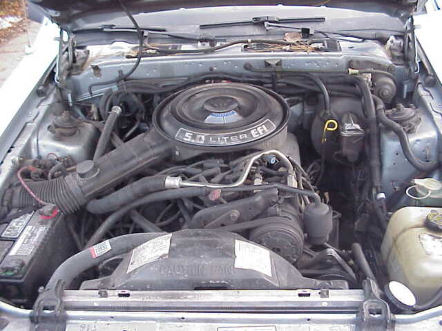 1985 Ford Thunderbird - photo 6