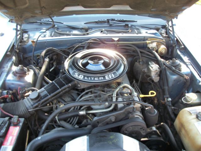 1985 Ford Thunderbird 30thanniversary - photo 12