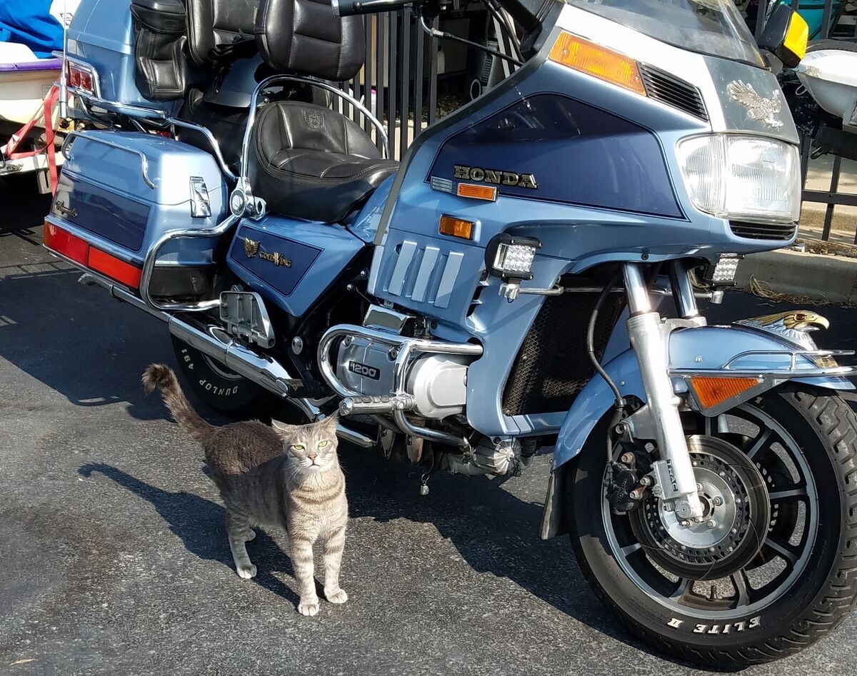 1985 Honda Gold Wing Aspencade GL1200 1985 Honda ASPENCADE GL1200 A