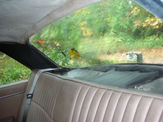 1985 Jaguar XJ6 - photo 10