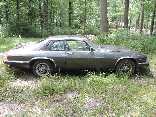 1985 Jaguar XJS - photo 3