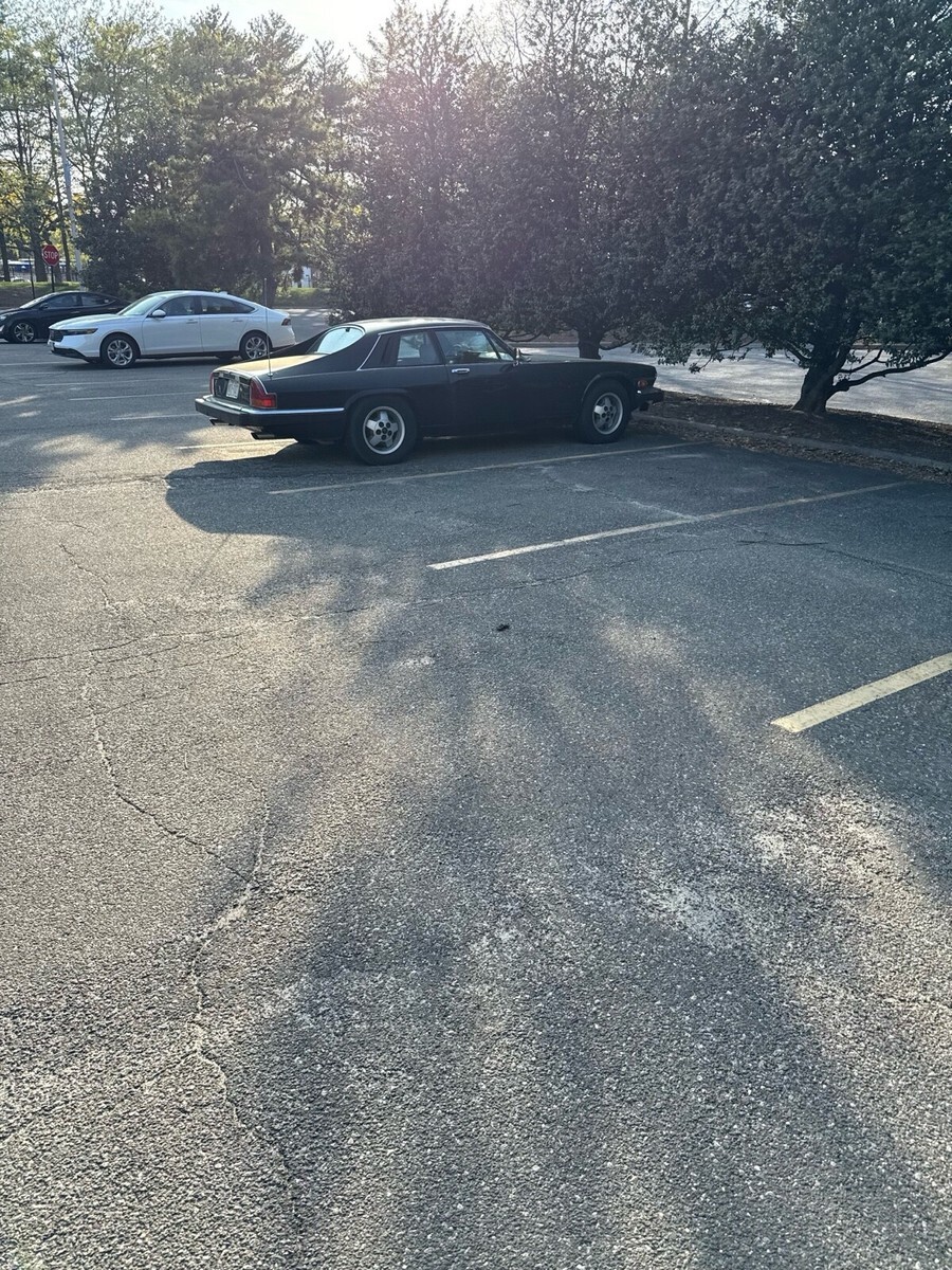 1985 Jaguar XJS - photo 3