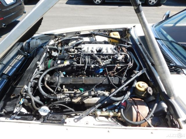 1985 Jaguar XJ-Series XJS - photo 9