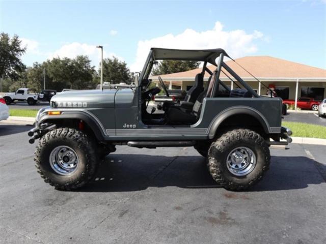 1985 Jeep CJ CJ7 - photo 8