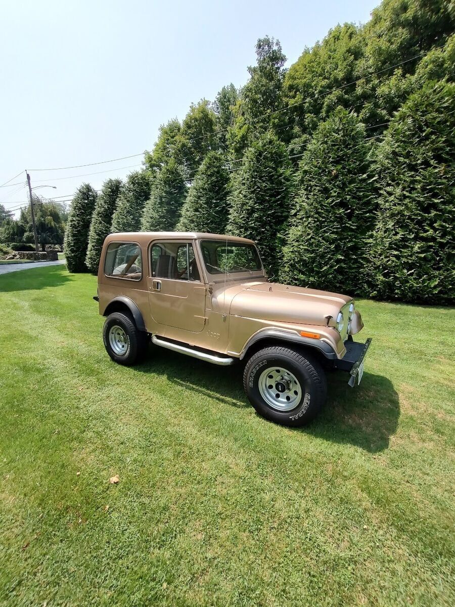 1985 Jeep CJ Laredo - photo 8