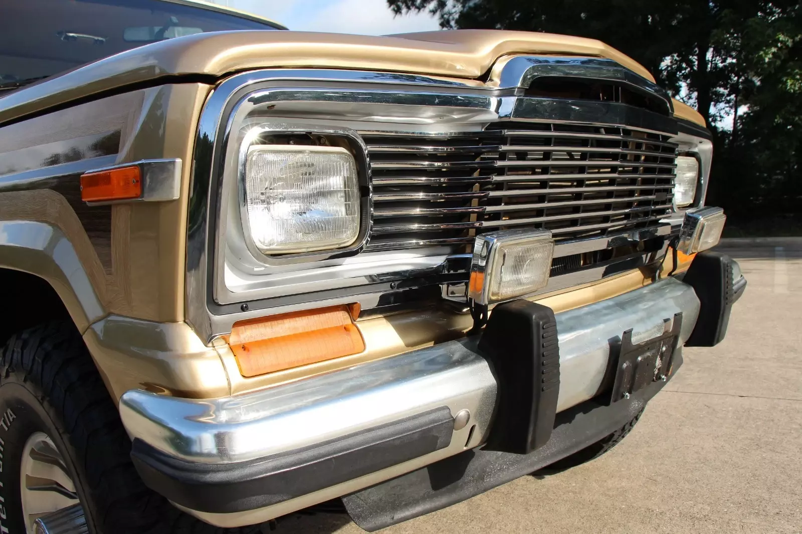 1985 Jeep Grand Wagoneer - photo 12