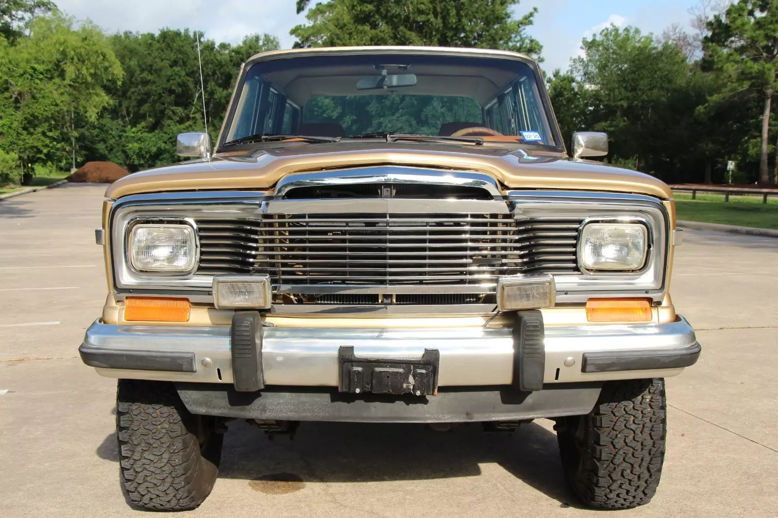 1985 Jeep Grand Wagoneer - photo 9